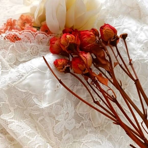 GORGEOUS, UNWORN VINTAGE BRIDAL "MUNSINGWEAR" LACE SLIP! SZ 32. - Picture 3 of 16